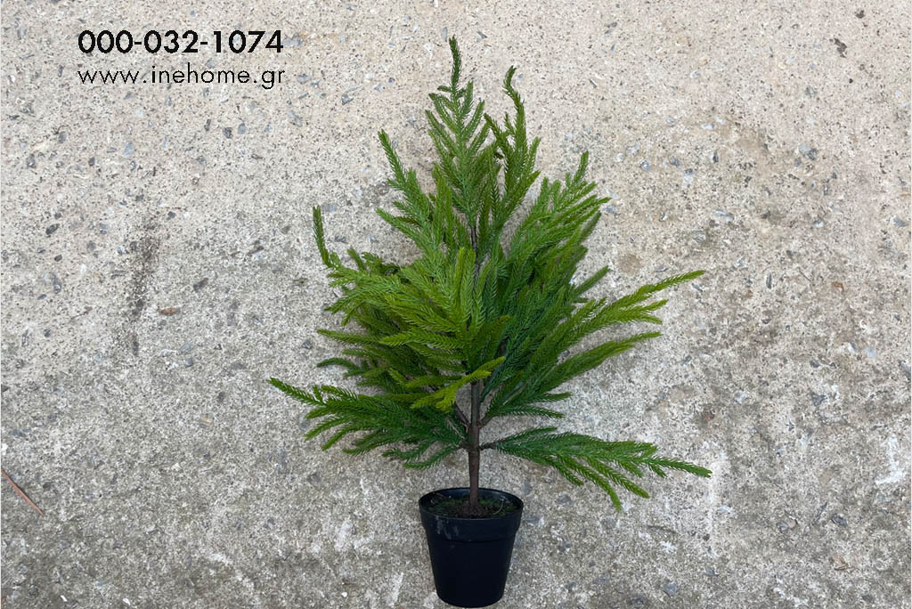 PINE IN POT 65CM