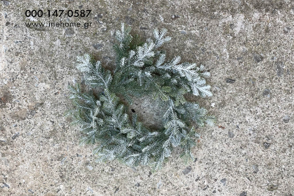 WREATH FIR FROSTED 25CM