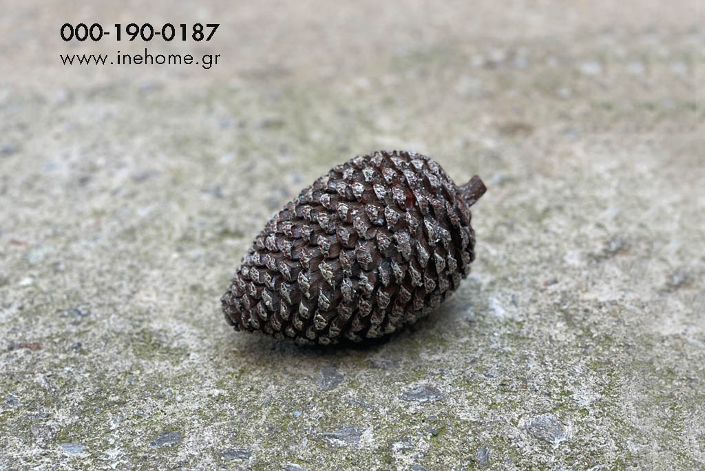 PINE CONE 9-17CM