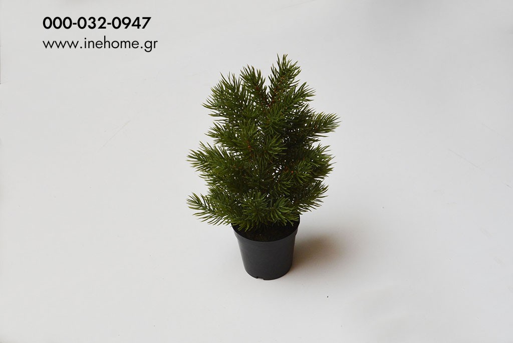 PINE TREE IN POT 30CM