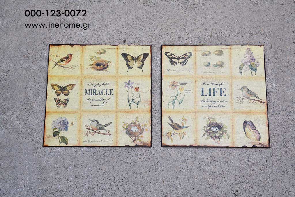 LABEL :WONDERFUL LIFE-MIRACLE'' ASS 30 CM