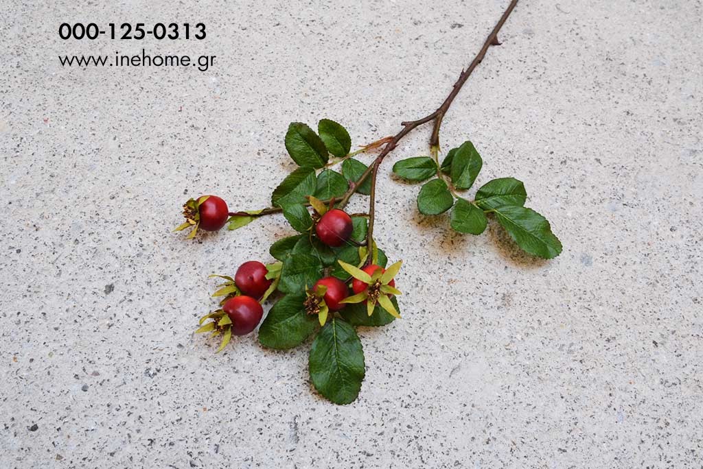 ROSEBERRY PICK RED 43CM