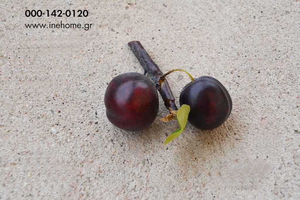 PLUM SPRAY 15 CM