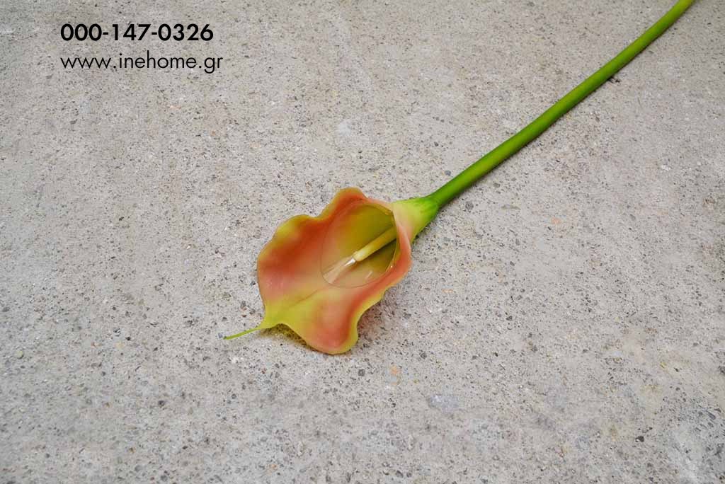 CALLA PINK 70 CM