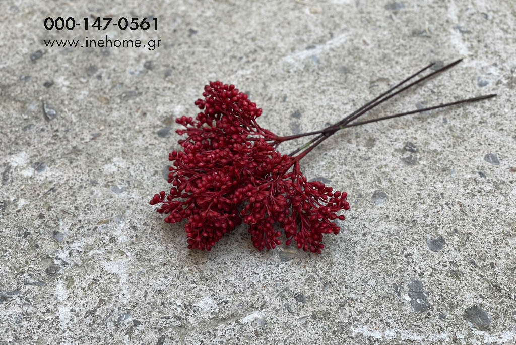 SEED BUNDLE RED 30CM