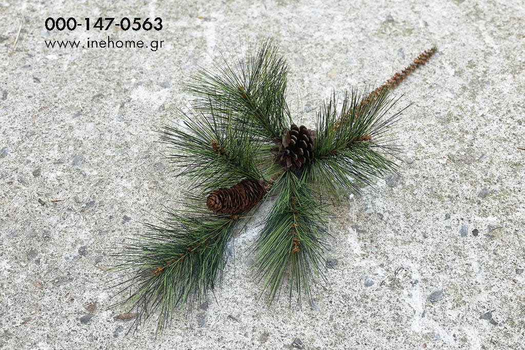 PINUS PINE BEAU CONE GREEN 50CM